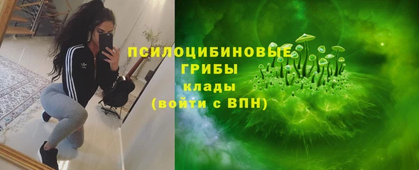 крисы Михайлов