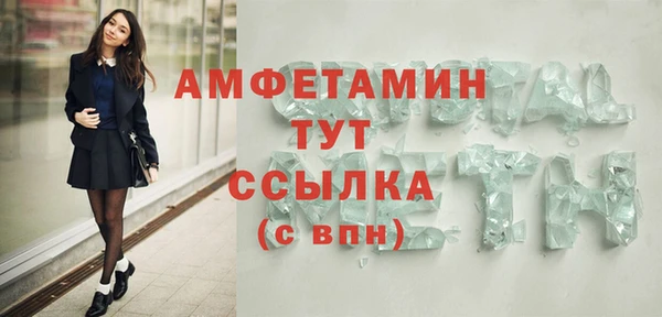 прущие грибы Михайловск