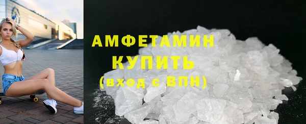 прущие грибы Михайловск