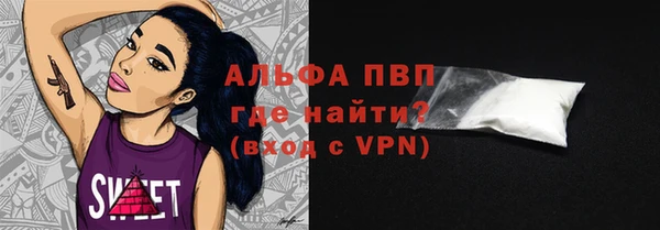 прущие грибы Михайловск