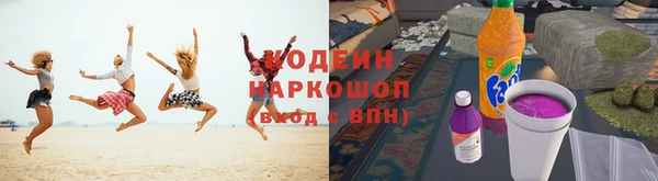 прущие грибы Михайловск